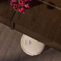 TOP-6 des meilleurs robots aspirateurs Panda: options, avantages et inconvénients + conseils de sélection