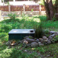 Examen de la fosse septique 