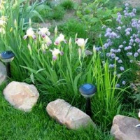 Lampes solaires de pelouse: appareil, comment choisir + nuances d'installation