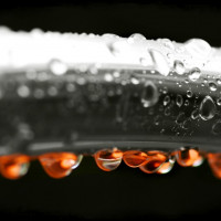 Que faire en cas de condensation dans une chaudière à gaz: méthodes pour empêcher la formation de «rosée» dans une cheminée