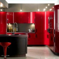 Réfrigérateurs encastrables: comment choisir et installer correctement + TOP-15 des meilleurs modèles