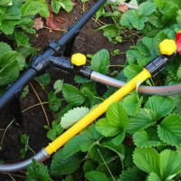 Tuyaux pour l'irrigation dans le pays: un aperçu comparatif des différents types de tuyaux