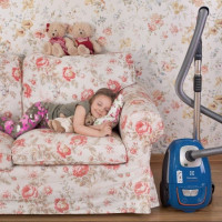 Aperçu des aspirateurs les plus silencieux: les dix meilleurs modèles de marques populaires