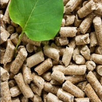 Types de biocarburants: comparaison des caractéristiques des combustibles solides, liquides et gazeux