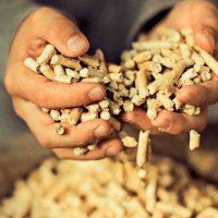 Quel est le meilleur et le moins cher - granulés ou porte-gaz? Comparaison des fonctionnalités clés