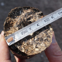 Briquettes de sciure: comment fabriquer soi-même de l'euro-bois pour les assemblages combustibles