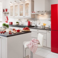 Réfrigérateur à deux chambres: TOP-20 des meilleurs modèles et conseils pour choisir une unité