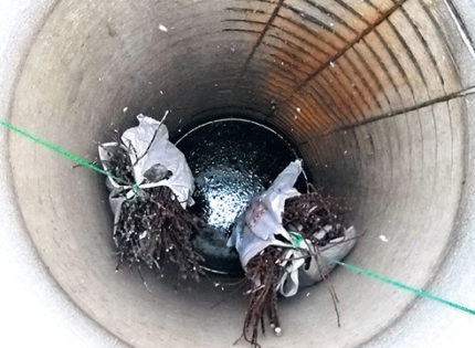 Nettoyage des débris