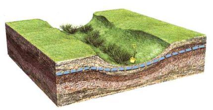 Organigramme Aquifère dans la région