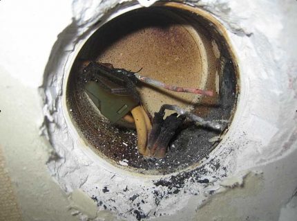 Prizi onarma nedenleri