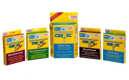 Sanex pour les puisards fabriqués en Russie Sanex en Russie