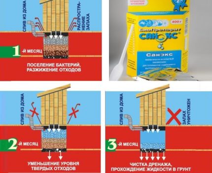 Plan d'action de Sanex pour les puisards pendant 3 mois Action du bioactivateur