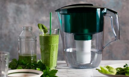 Water filter in the form of a jug for a summer residence Pitcher device