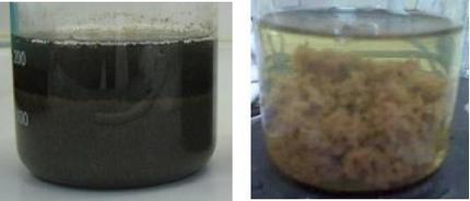 Das Wirkprinzip von Reagenzien