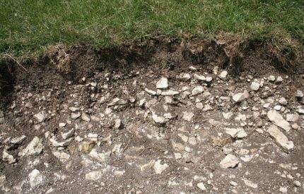 Décombres de calcaire près de la surface Sol de type roche