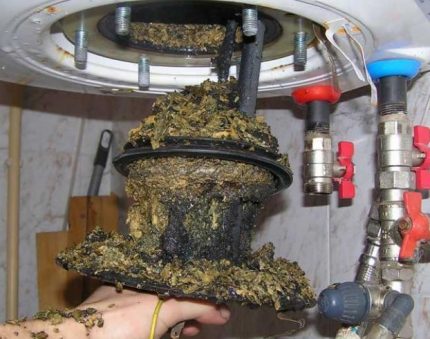 Sédiments et écailles sales