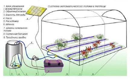 Le schéma de l'alimentation en eau d'été pour l'irrigation en serre Schéma d'irrigation en serre