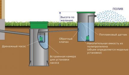 Schéma d'une fosse septique avec collecte d'eau dans un puits pour l'irrigation Utilisation d'eau purifiée dans l'irrigation