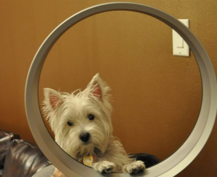 Avantages de l'utilisation d'un ventilateur sans lame Ventilateurs sans ventilateur faciles à nettoyer