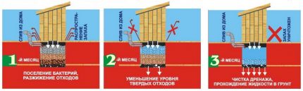 O uso de bioativador para o tratamento de uma fossa de pneus Limpeza de bioativadores