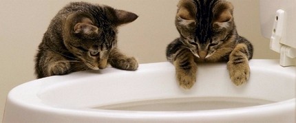 Grincement lors du changement de position du couvercle