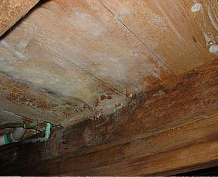 Le résultat d'un manque de ventilation dans le bain Le plafond du bain pourrit