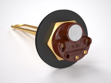 Chauffage électrique pour réservoir de douche d'été Chauffe-douche électrique d'été