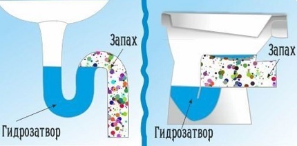 Dairede koku önleyici tuzak Sifon su keçesi