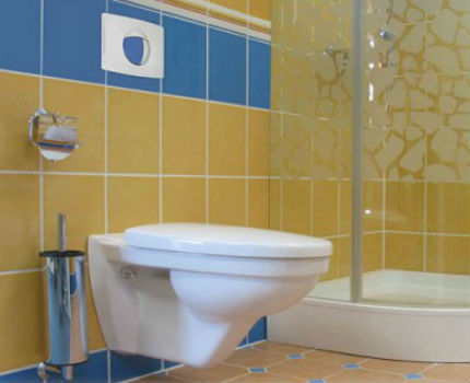 Duvara monte tuvalet