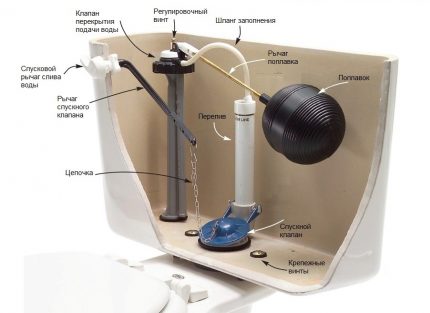 Elementos de vaso sanitário Elementos do mecanismo de drenagem