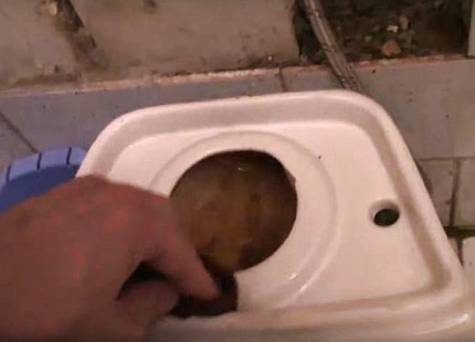 Limpe as prateleiras do vaso sanitário