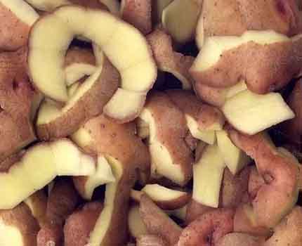 Peler les pommes de terre