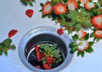 O lixo vai para o ralo O lixo vai para o ralo