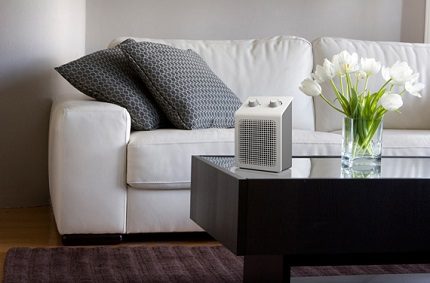 Uygun küçük fan ısıtıcısı