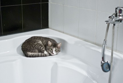 La sécurité passe avant tout