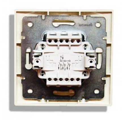 Face arrière de l'appareil Face arrière de l'appareil