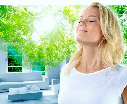 Pourquoi vous avez besoin d'un humidificateur et d'un purificateur d'air Air pur