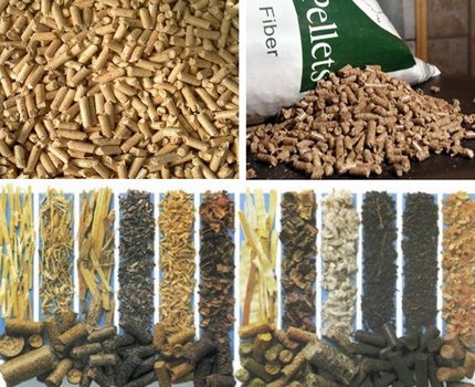 Diferentes variedades de pellets Diferentes tipos de grânulos