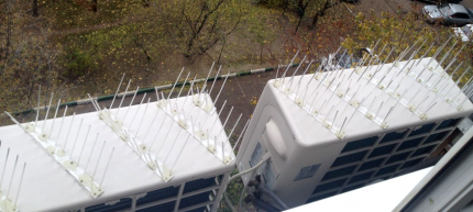 Des pointes acérées protègent l'appareil contre les oiseaux Protection des oiseaux