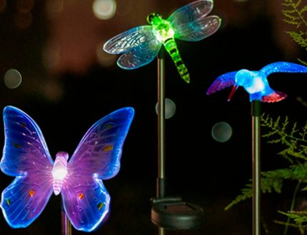 Lumières décoratives