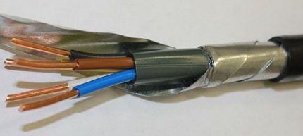 VBbShv dans le contexte