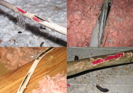 Rupture de fil Rupture de fil