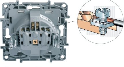 Screw-type circuit-breaker Screw clamp