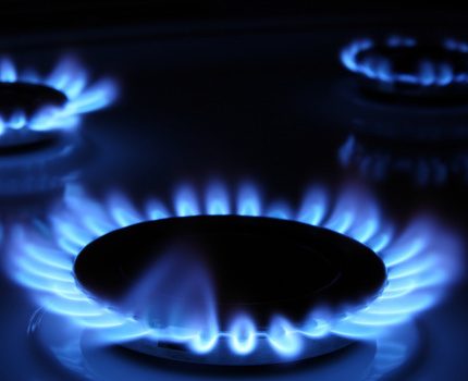 Hollywood Fuel a solidement établi sa position parmi ses concurrents Brûleur gaz