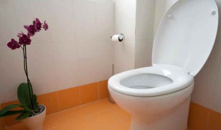Siège de toilette en Duroplast