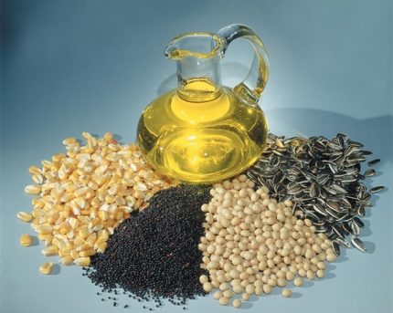 Les premiers composants de la fabrication de biocarburants pour la cheminée Faire du biodiesel