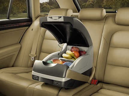 Mobilität von thermoelektrischen Kühlschränken