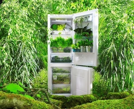 Système de destruction des bactéries