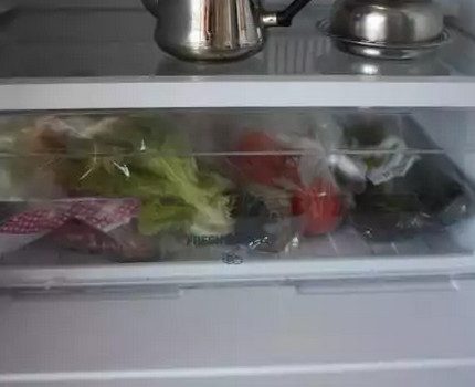 The internal structure of the refrigerator Ariston