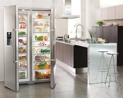 Le style strict des réfrigérateurs peut compléter l'intérieur de n'importe quelle pièce La gamme n'est pas remplie de solutions originales